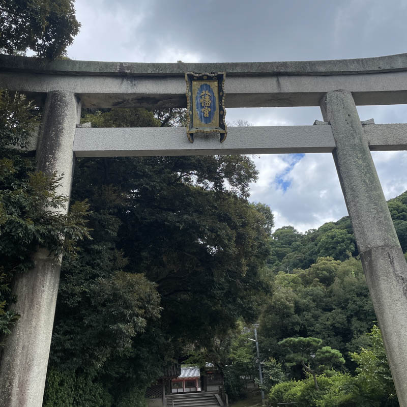 致光之君