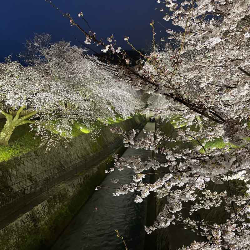 神劍闖江湖
