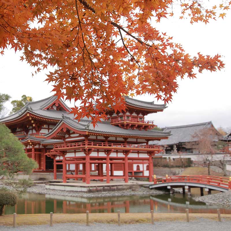 寶可夢GO~京都~