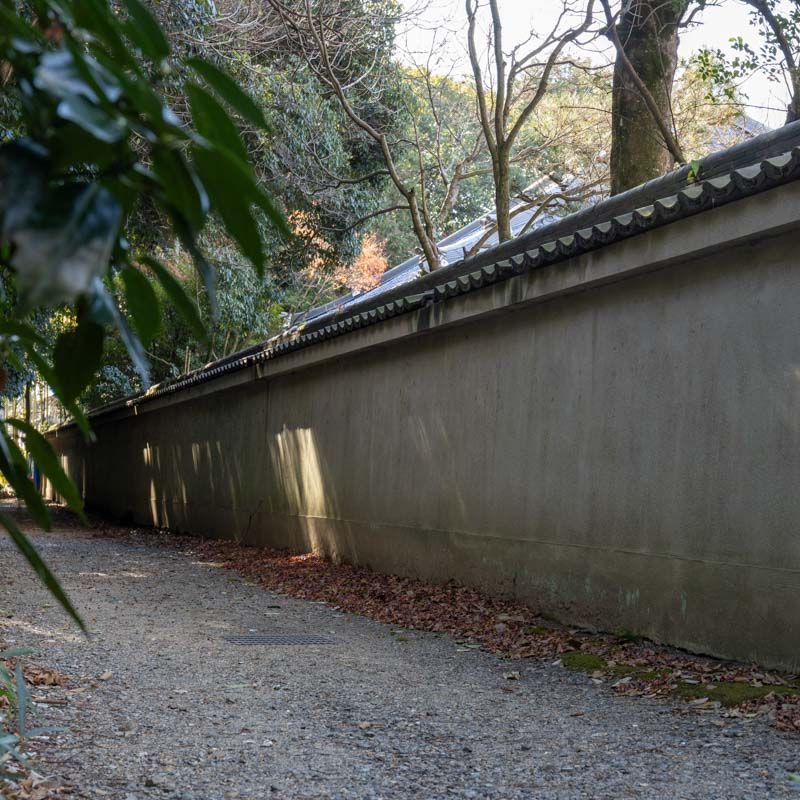 神劍闖江湖