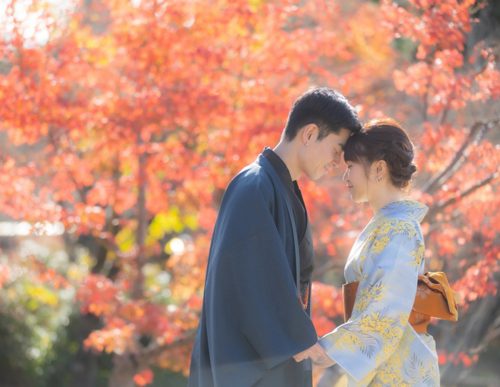 櫻花・新緑・紅葉方案(円山公園)

