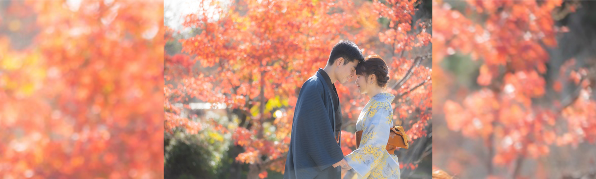 櫻花・新緑・紅葉方案